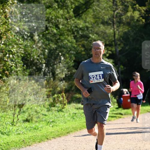 27.09.2026 - 35. Volkslauf durch das schöne Alstertal Dr. Thomas Lammeyer http://msf.ph/oto/10572730 27.09.2026 11:24:42 Laufen 3241 meine-sportfotos.de