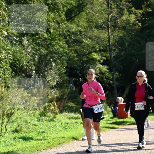 27.09.2026 - 35. Volkslauf durch das schöne Alstertal Dr. Thomas Lammeyer http://msf.ph/oto/10572742 27.09.2026 11:24:44 Laufen 3020, 4199 meine-sportfotos.de