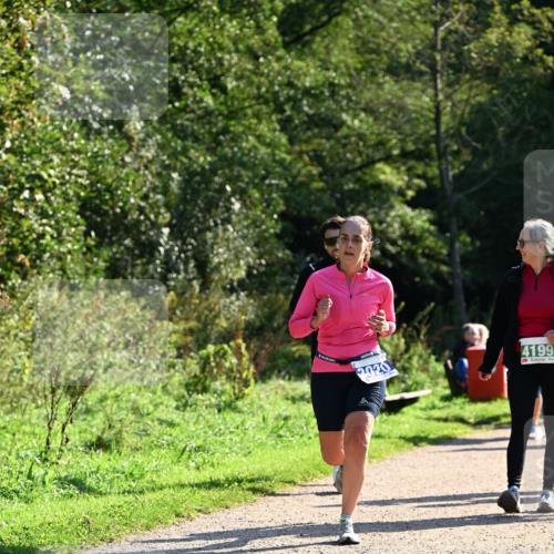 27.09.2026 - 35. Volkslauf durch das schöne Alstertal Dr. Thomas Lammeyer http://msf.ph/oto/10572746 27.09.2026 11:24:44 Laufen 030, 4199 meine-sportfotos.de