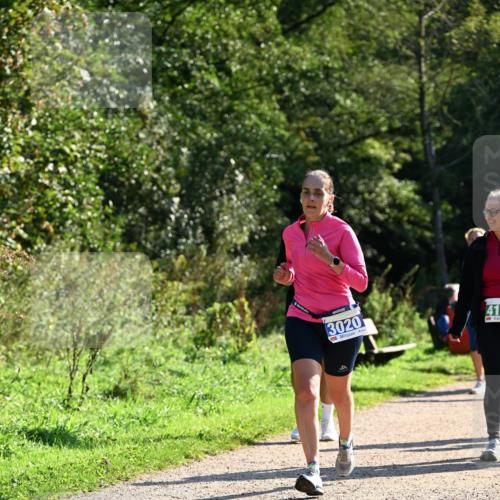 27.09.2026 - 35. Volkslauf durch das schöne Alstertal Dr. Thomas Lammeyer http://msf.ph/oto/10572748 27.09.2026 11:24:45 Laufen 3020, 41, 9 meine-sportfotos.de