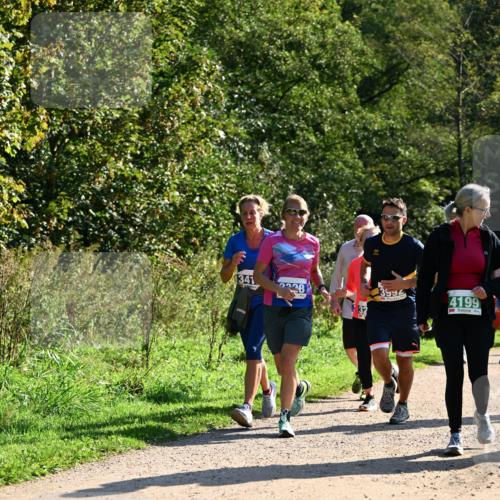 27.09.2026 - 35. Volkslauf durch das schöne Alstertal Dr. Thomas Lammeyer http://msf.ph/oto/10572775 27.09.2026 11:24:48 Laufen 341, 228, 3992, 4199, 32 meine-sportfotos.de