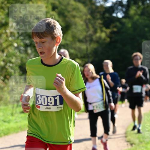 27.09.2026 - 35. Volkslauf durch das schöne Alstertal Dr. Thomas Lammeyer http://msf.ph/oto/10572791 27.09.2026 11:24:51 Laufen 3091 meine-sportfotos.de