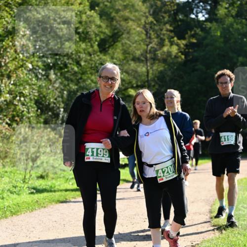 27.09.2026 - 35. Volkslauf durch das schöne Alstertal Dr. Thomas Lammeyer http://msf.ph/oto/10572799 27.09.2026 11:24:52 Laufen 4199, 4200, 4198 meine-sportfotos.de