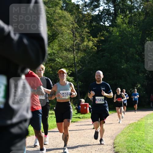 27.09.2026 - 35. Volkslauf durch das schöne Alstertal Dr. Thomas Lammeyer http://msf.ph/oto/10572810 27.09.2026 11:24:58 Laufen 3402, 3237 meine-sportfotos.de