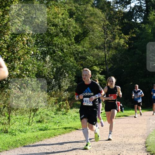 27.09.2026 - 35. Volkslauf durch das schöne Alstertal Dr. Thomas Lammeyer http://msf.ph/oto/10572828 27.09.2026 11:25:00 Laufen 3253 meine-sportfotos.de