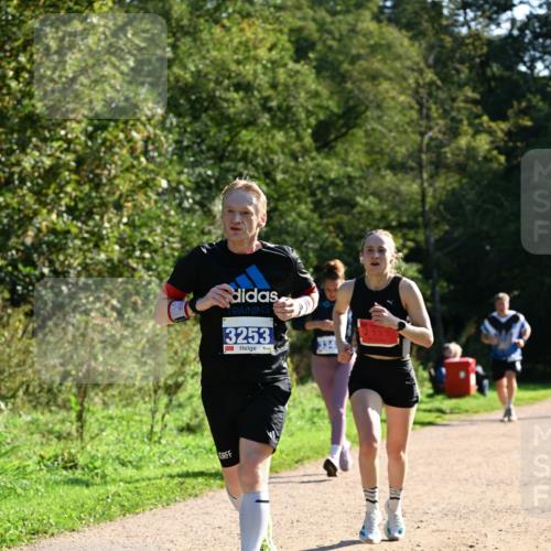 27.09.2026 - 35. Volkslauf durch das schöne Alstertal Dr. Thomas Lammeyer http://msf.ph/oto/10572837 27.09.2026 11:25:01 Laufen 3253 meine-sportfotos.de