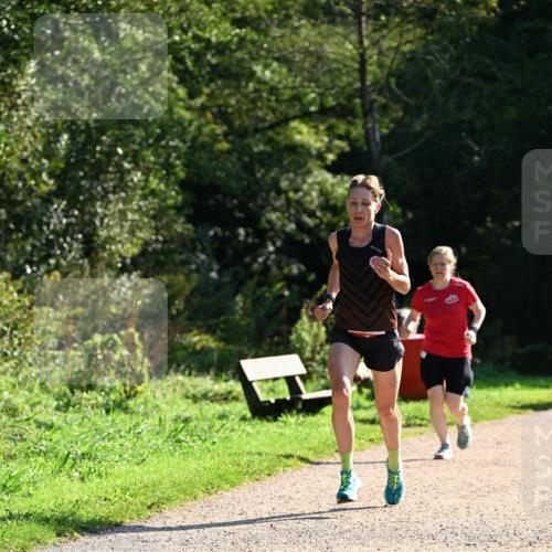 27.09.2026 - 35. Volkslauf durch das schöne Alstertal Dr. Thomas Lammeyer http://msf.ph/oto/10572876 27.09.2026 11:25:09 Laufen  meine-sportfotos.de