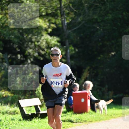 27.09.2026 - 35. Volkslauf durch das schöne Alstertal Dr. Thomas Lammeyer http://msf.ph/oto/10572904 27.09.2026 11:25:28 Laufen 3275 meine-sportfotos.de