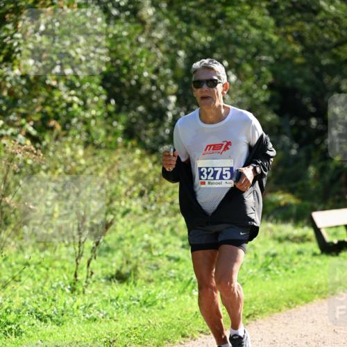 27.09.2026 - 35. Volkslauf durch das schöne Alstertal Dr. Thomas Lammeyer http://msf.ph/oto/10572922 27.09.2026 11:25:30 Laufen 3275 meine-sportfotos.de