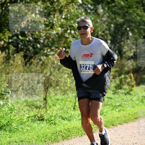 27.09.2026 - 35. Volkslauf durch das schöne Alstertal Dr. Thomas Lammeyer http://msf.ph/oto/10572929 27.09.2026 11:25:31 Laufen 3275 meine-sportfotos.de