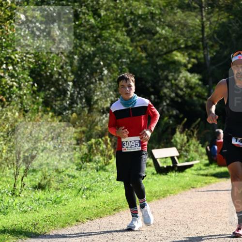 27.09.2026 - 35. Volkslauf durch das schöne Alstertal Dr. Thomas Lammeyer http://msf.ph/oto/10572965 27.09.2026 11:25:51 Laufen 3095 meine-sportfotos.de