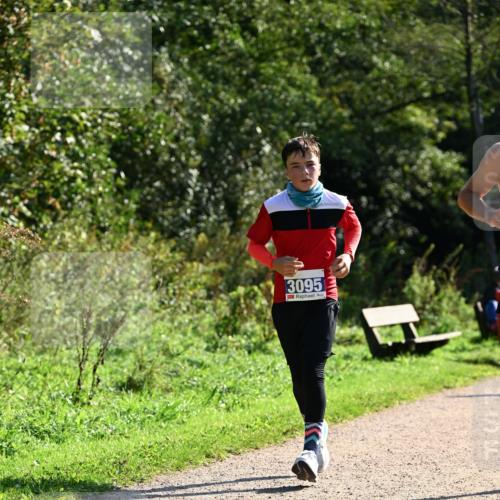 27.09.2026 - 35. Volkslauf durch das schöne Alstertal Dr. Thomas Lammeyer http://msf.ph/oto/10572966 27.09.2026 11:25:51 Laufen 3095 meine-sportfotos.de