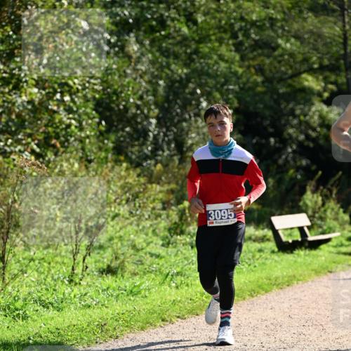 27.09.2026 - 35. Volkslauf durch das schöne Alstertal Dr. Thomas Lammeyer http://msf.ph/oto/10572967 27.09.2026 11:25:51 Laufen 3095 meine-sportfotos.de