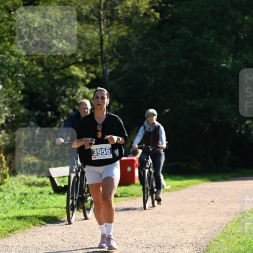 27.09.2026 - 35. Volkslauf durch das schöne Alstertal Dr. Thomas Lammeyer http://msf.ph/oto/10572979 27.09.2026 11:25:54 Laufen 3955 meine-sportfotos.de