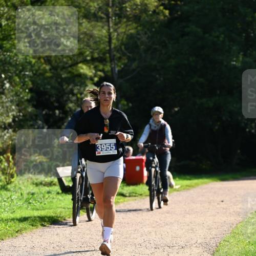 27.09.2026 - 35. Volkslauf durch das schöne Alstertal Dr. Thomas Lammeyer http://msf.ph/oto/10572980 27.09.2026 11:25:54 Laufen 3955 meine-sportfotos.de