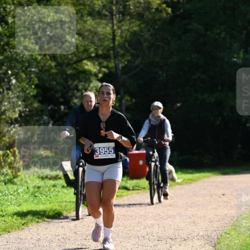 27.09.2026 - 35. Volkslauf durch das schöne Alstertal Dr. Thomas Lammeyer http://msf.ph/oto/10572981 27.09.2026 11:25:54 Laufen 3955 meine-sportfotos.de