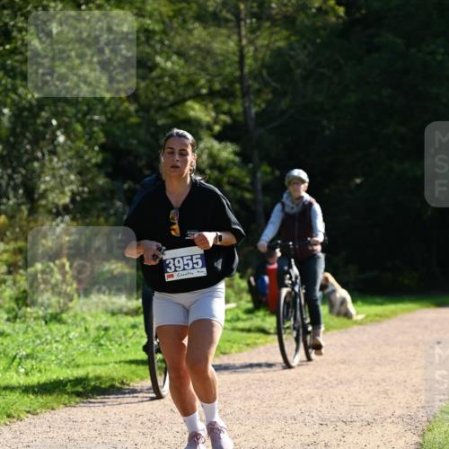 27.09.2026 - 35. Volkslauf durch das schöne Alstertal Dr. Thomas Lammeyer http://msf.ph/oto/10572985 27.09.2026 11:25:55 Laufen 3955 meine-sportfotos.de