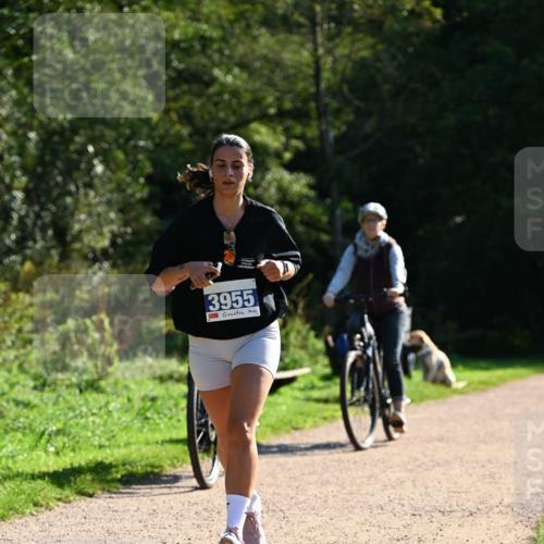 27.09.2026 - 35. Volkslauf durch das schöne Alstertal Dr. Thomas Lammeyer http://msf.ph/oto/10572987 27.09.2026 11:25:55 Laufen 3955 meine-sportfotos.de
