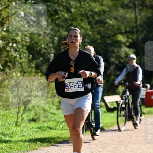 27.09.2026 - 35. Volkslauf durch das schöne Alstertal Dr. Thomas Lammeyer http://msf.ph/oto/10572993 27.09.2026 11:25:56 Laufen 3955 meine-sportfotos.de