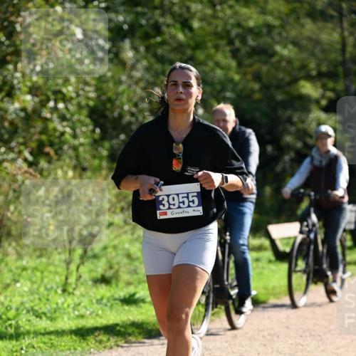 27.09.2026 - 35. Volkslauf durch das schöne Alstertal Dr. Thomas Lammeyer http://msf.ph/oto/10572995 27.09.2026 11:25:56 Laufen 3955 meine-sportfotos.de
