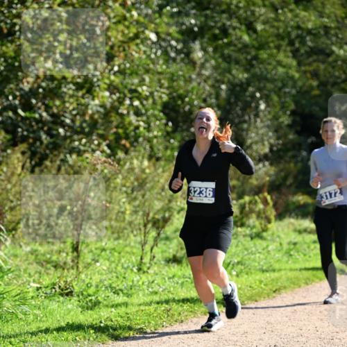 27.09.2026 - 35. Volkslauf durch das schöne Alstertal Dr. Thomas Lammeyer http://msf.ph/oto/10573010 27.09.2026 11:26:16 Laufen 3236, 3172 meine-sportfotos.de