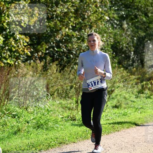 27.09.2026 - 35. Volkslauf durch das schöne Alstertal Dr. Thomas Lammeyer http://msf.ph/oto/10573024 27.09.2026 11:26:18 Laufen 3172 meine-sportfotos.de