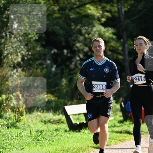 27.09.2026 - 35. Volkslauf durch das schöne Alstertal Dr. Thomas Lammeyer http://msf.ph/oto/10573106 27.09.2026 11:26:33 Laufen 2216, 3960 meine-sportfotos.de