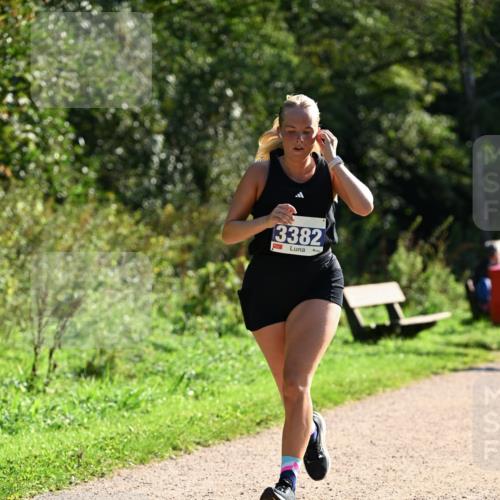 27.09.2026 - 35. Volkslauf durch das schöne Alstertal Dr. Thomas Lammeyer http://msf.ph/oto/10573132 27.09.2026 11:26:37 Laufen 3382 meine-sportfotos.de