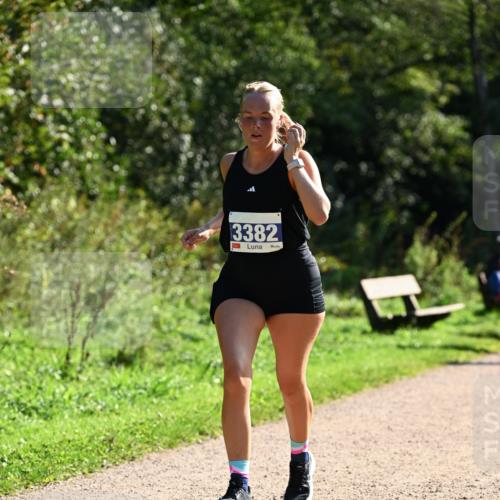 27.09.2026 - 35. Volkslauf durch das schöne Alstertal Dr. Thomas Lammeyer http://msf.ph/oto/10573134 27.09.2026 11:26:38 Laufen 3382 meine-sportfotos.de