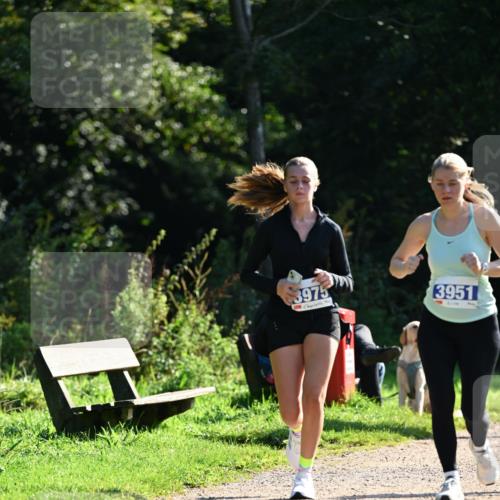 27.09.2026 - 35. Volkslauf durch das schöne Alstertal Dr. Thomas Lammeyer http://msf.ph/oto/10573136 27.09.2026 11:26:39 Laufen 3975, 3951 meine-sportfotos.de