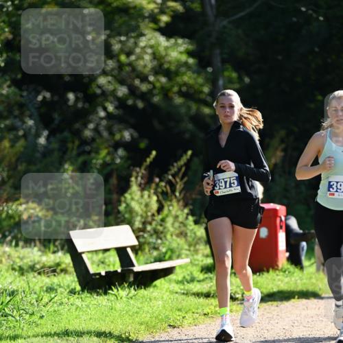 27.09.2026 - 35. Volkslauf durch das schöne Alstertal Dr. Thomas Lammeyer http://msf.ph/oto/10573138 27.09.2026 11:26:39 Laufen 3975, 39 meine-sportfotos.de