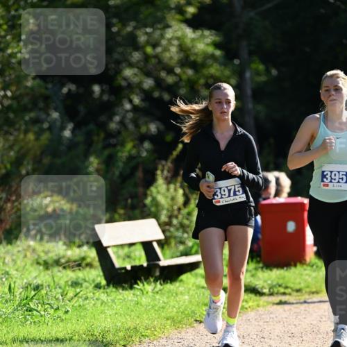27.09.2026 - 35. Volkslauf durch das schöne Alstertal Dr. Thomas Lammeyer http://msf.ph/oto/10573143 27.09.2026 11:26:39 Laufen 3975, 395 meine-sportfotos.de