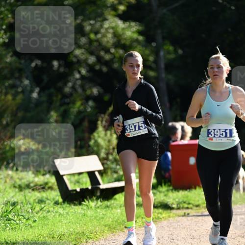 27.09.2026 - 35. Volkslauf durch das schöne Alstertal Dr. Thomas Lammeyer http://msf.ph/oto/10573145 27.09.2026 11:26:40 Laufen 3975, 3951 meine-sportfotos.de