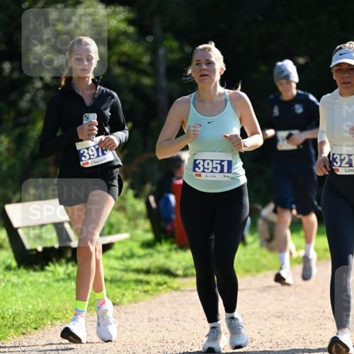 27.09.2026 - 35. Volkslauf durch das schöne Alstertal Dr. Thomas Lammeyer http://msf.ph/oto/10573146 27.09.2026 11:26:40 Laufen 3975, 3951, 321 meine-sportfotos.de