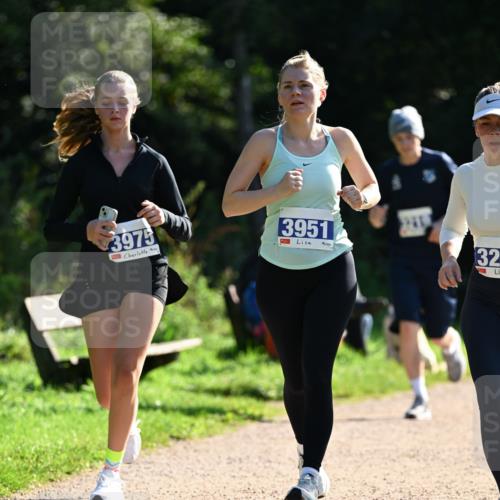 27.09.2026 - 35. Volkslauf durch das schöne Alstertal Dr. Thomas Lammeyer http://msf.ph/oto/10573147 27.09.2026 11:26:40 Laufen 3975, 3951, 32 meine-sportfotos.de