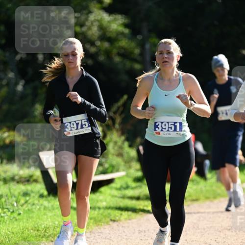 27.09.2026 - 35. Volkslauf durch das schöne Alstertal Dr. Thomas Lammeyer http://msf.ph/oto/10573148 27.09.2026 11:26:40 Laufen 3975, 3951 meine-sportfotos.de