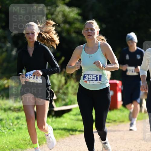 27.09.2026 - 35. Volkslauf durch das schöne Alstertal Dr. Thomas Lammeyer http://msf.ph/oto/10573151 27.09.2026 11:26:40 Laufen 3973, 3951 meine-sportfotos.de