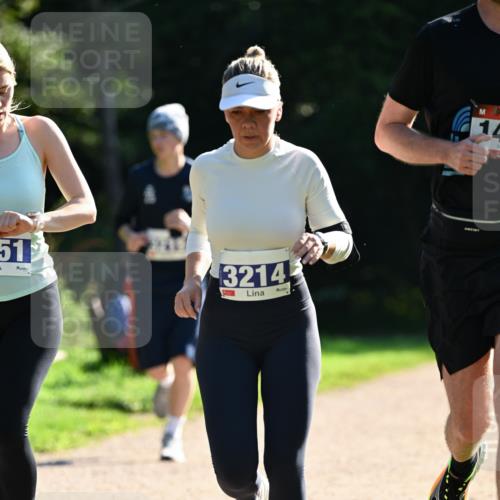 27.09.2026 - 35. Volkslauf durch das schöne Alstertal Dr. Thomas Lammeyer http://msf.ph/oto/10573155 27.09.2026 11:26:41 Laufen 515, 3214, 14 meine-sportfotos.de