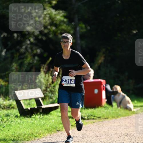 27.09.2026 - 35. Volkslauf durch das schöne Alstertal Dr. Thomas Lammeyer http://msf.ph/oto/10573228 27.09.2026 11:27:08 Laufen 2314, 6 meine-sportfotos.de