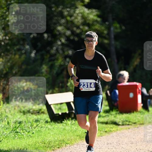 27.09.2026 - 35. Volkslauf durch das schöne Alstertal Dr. Thomas Lammeyer http://msf.ph/oto/10573232 27.09.2026 11:27:08 Laufen 2314 meine-sportfotos.de