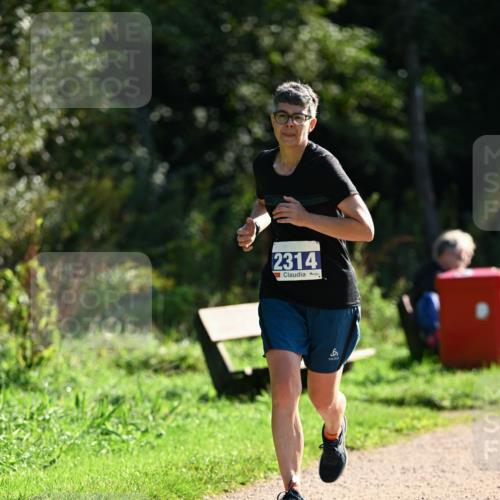 27.09.2026 - 35. Volkslauf durch das schöne Alstertal Dr. Thomas Lammeyer http://msf.ph/oto/10573235 27.09.2026 11:27:08 Laufen 2314, 6 meine-sportfotos.de