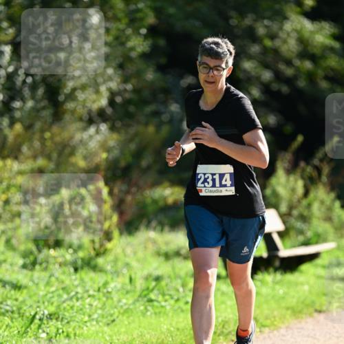 27.09.2026 - 35. Volkslauf durch das schöne Alstertal Dr. Thomas Lammeyer http://msf.ph/oto/10573241 27.09.2026 11:27:09 Laufen 2314, 6 meine-sportfotos.de