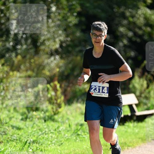 27.09.2026 - 35. Volkslauf durch das schöne Alstertal Dr. Thomas Lammeyer http://msf.ph/oto/10573242 27.09.2026 11:27:09 Laufen 2314 meine-sportfotos.de