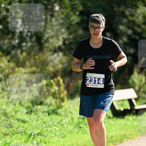 27.09.2026 - 35. Volkslauf durch das schöne Alstertal Dr. Thomas Lammeyer http://msf.ph/oto/10573244 27.09.2026 11:27:09 Laufen 2314 meine-sportfotos.de