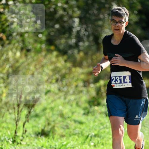 27.09.2026 - 35. Volkslauf durch das schöne Alstertal Dr. Thomas Lammeyer http://msf.ph/oto/10573250 27.09.2026 11:27:10 Laufen 2314 meine-sportfotos.de