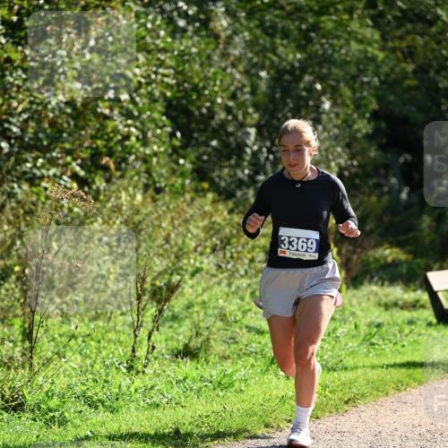 27.09.2026 - 35. Volkslauf durch das schöne Alstertal Dr. Thomas Lammeyer http://msf.ph/oto/10573279 27.09.2026 11:27:15 Laufen 3369 meine-sportfotos.de