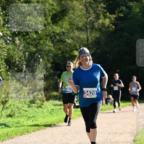27.09.2026 - 35. Volkslauf durch das schöne Alstertal Dr. Thomas Lammeyer http://msf.ph/oto/10573282 27.09.2026 11:27:17 Laufen 341, 3420 meine-sportfotos.de