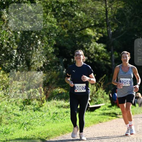27.09.2026 - 35. Volkslauf durch das schöne Alstertal Dr. Thomas Lammeyer http://msf.ph/oto/10573305 27.09.2026 11:27:20 Laufen 3007, 3256 meine-sportfotos.de