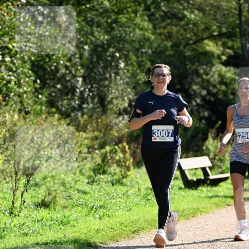 27.09.2026 - 35. Volkslauf durch das schöne Alstertal Dr. Thomas Lammeyer http://msf.ph/oto/10573311 27.09.2026 11:27:21 Laufen 3007, 3256 meine-sportfotos.de