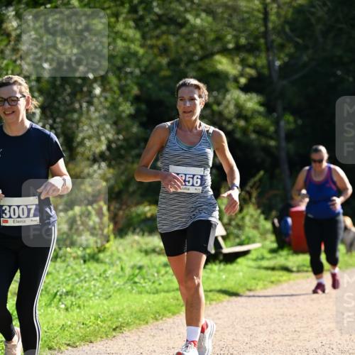 27.09.2026 - 35. Volkslauf durch das schöne Alstertal Dr. Thomas Lammeyer http://msf.ph/oto/10573316 27.09.2026 11:27:22 Laufen 3007, 56 meine-sportfotos.de